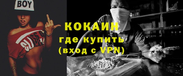 мдпв Касимов