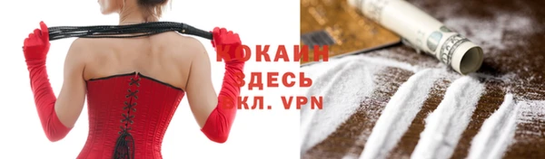 jwh Карпинск
