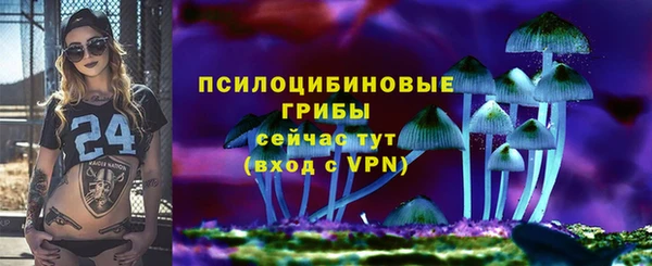 мдпв Касимов